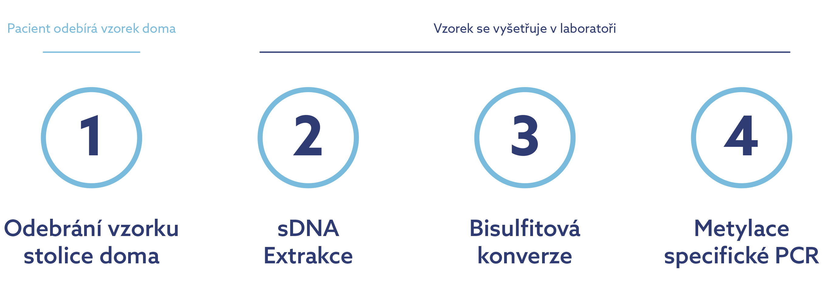 proces vyšetrenia vzorky_CZ